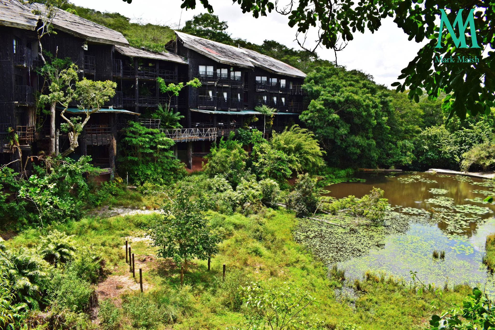 shimba Hills Lodge Mark Maish